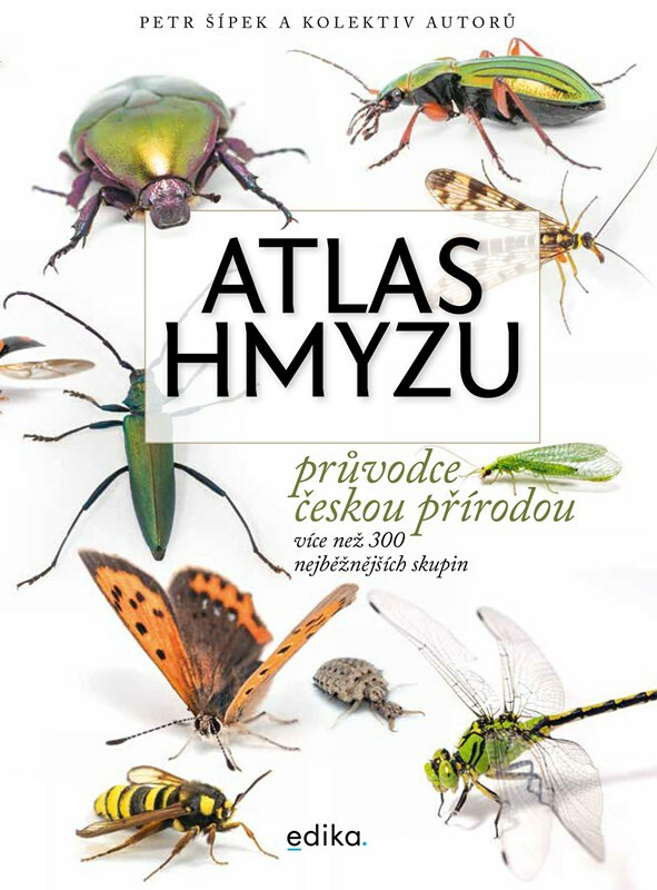 Atlas hmyzu - Petr Šípek