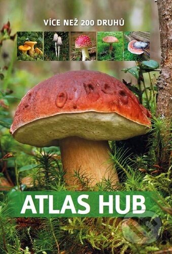 Atlas hub