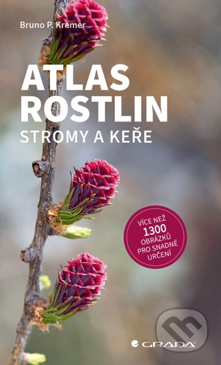 Atlas rostlin - Stromy a keře