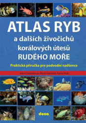 Atlas ryb a dalších živočichů korálových útesů Rudého moře - kniha z kategorie Biologie