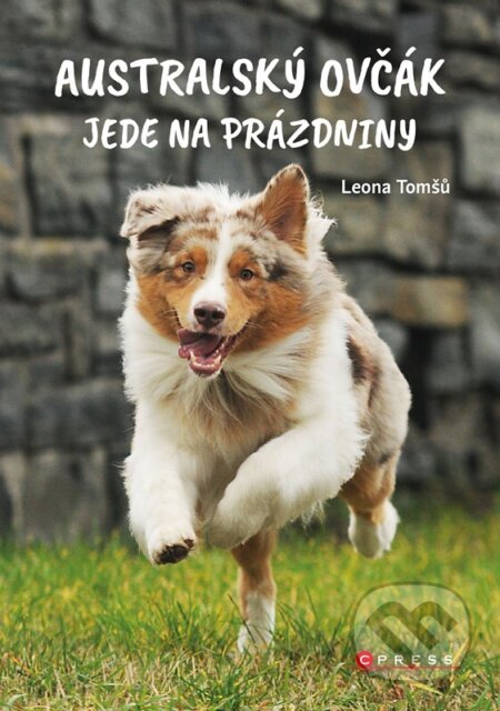 Australský ovčák jede na prázdniny