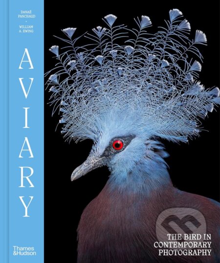 Aviary (The Bird in Contemporary Photography)