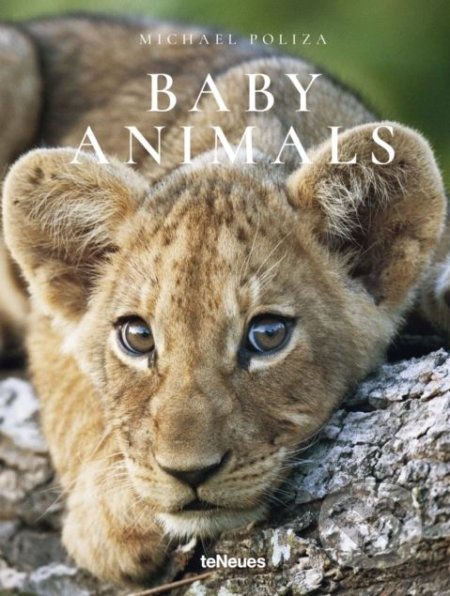 Baby Animals