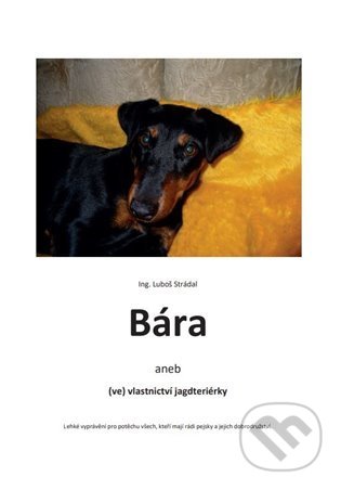 Bára (aneb (ve) vlastnictví jagdteriérky)