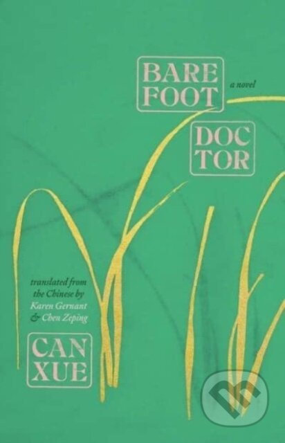 Barefoot Doctor (A Novel)