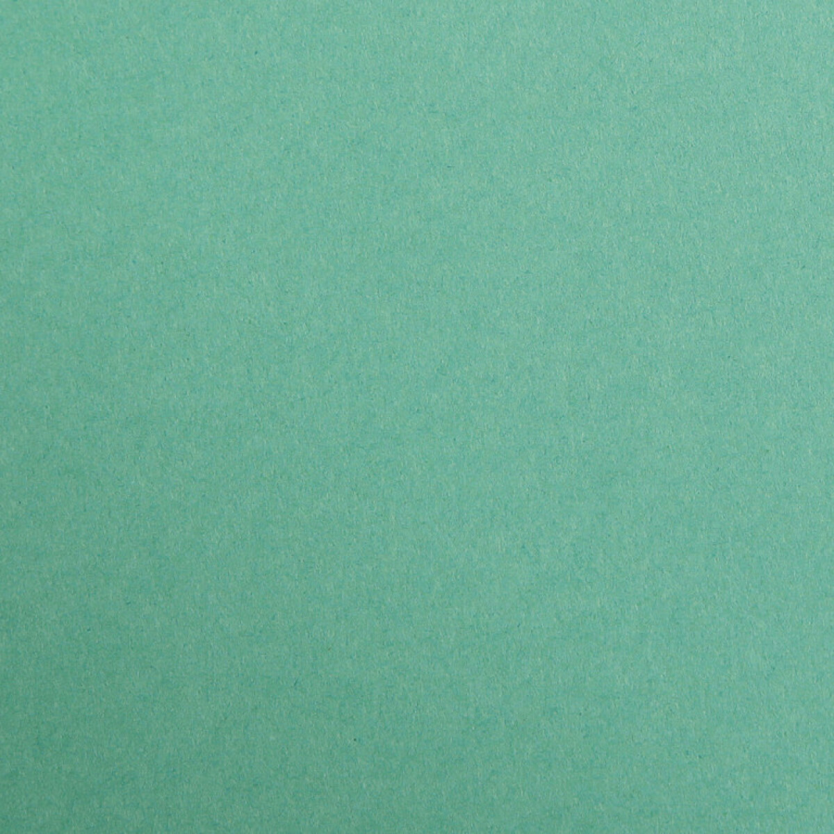 Barevný papír Maya A2 – 51 Dark green