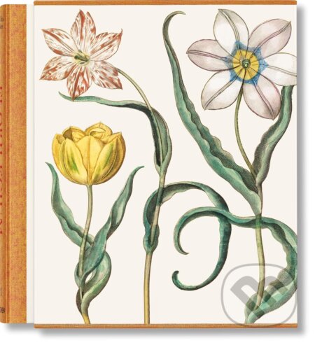 Basilius Besler. The Garden at Eichstätt