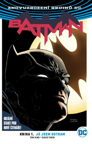 Batman 01: Já jsem Gotham V4