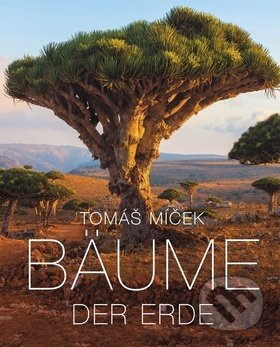 Bäume der Erde