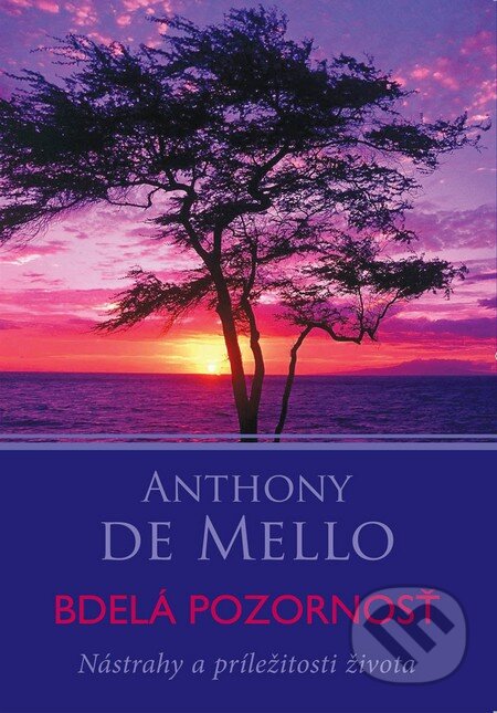 Bdelá pozornosť (Nástrahy a príležitosti života)