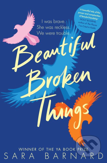 Beautiful Broken Things