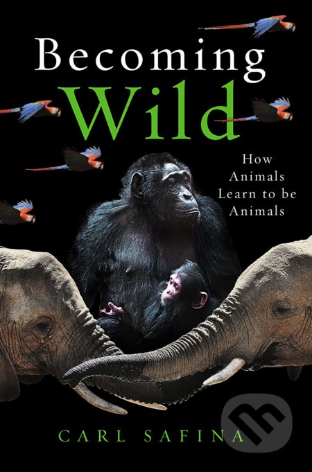 Becoming Wild (How Animals Learn to be Animals)