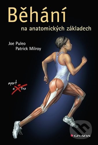 Běhání (na anatomických základech)