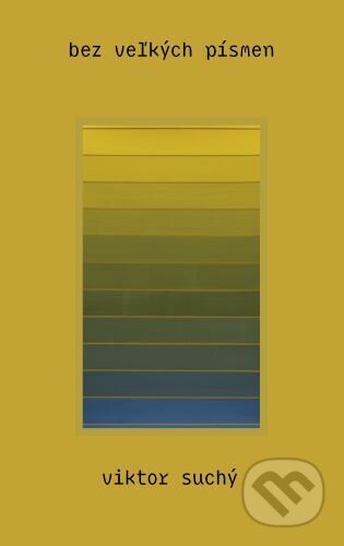 bez veľkých písmen