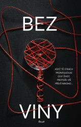 Bez viny (Když tě strach pronásleduje celý život, protože víš příliš mnoho...) - kniha z kategorie Detektivky, thrillery a horory