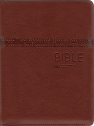 Bible 1274 hnědá (Český ekumenický překlad s DT) - kniha z kategorie Bible