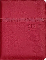Bible (Český ekumenický překlad)