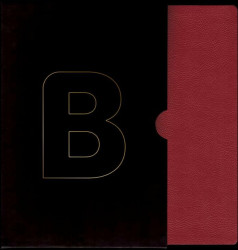 Bible překlad 21. století XL (Bordeaux) - kniha z kategorie Náboženská literatura