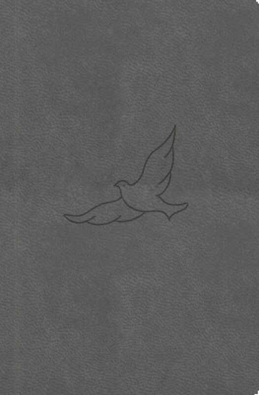 Bible21 - kapesní