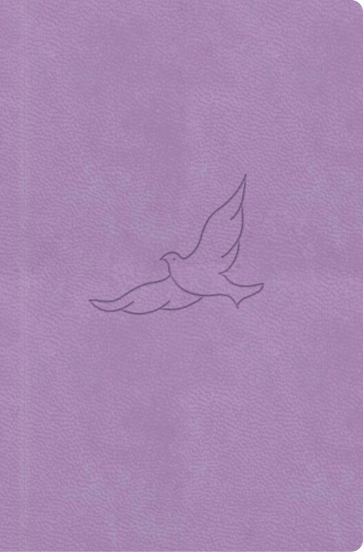 Bible21 - kapesní