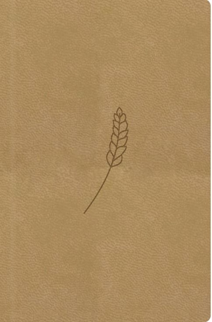 Bible21 kapesní Honey