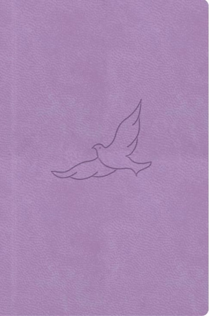 Bible21 kapesní Lila