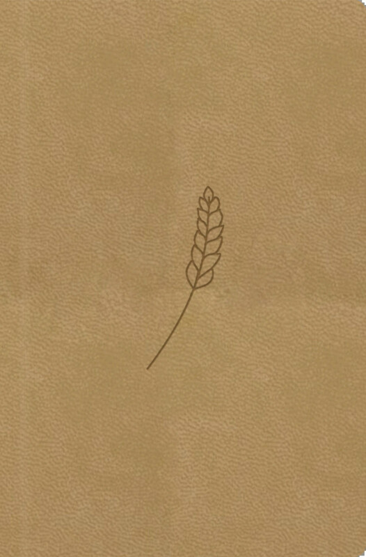 Bible21 - kapesní