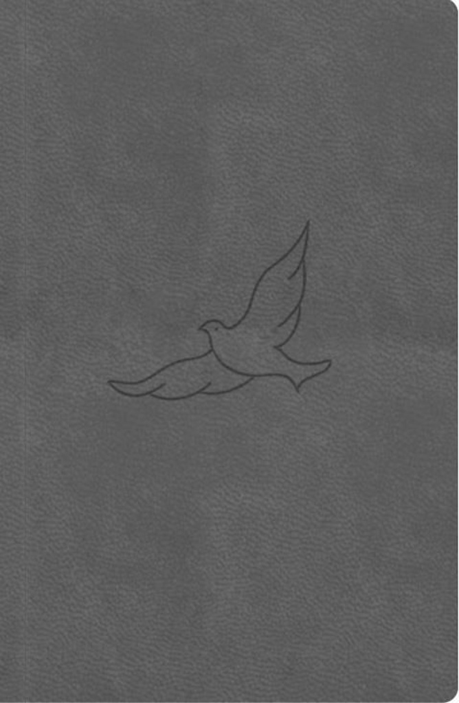 Bible21 kapesní Pepper