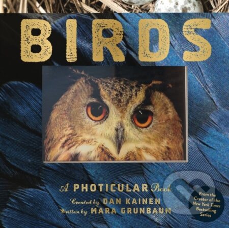 Birds (A Photicular Book)