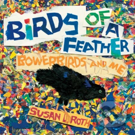 Birds of a Feather (Bowerbirds and Me)