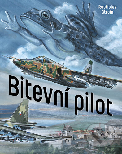 Bitevní pilot