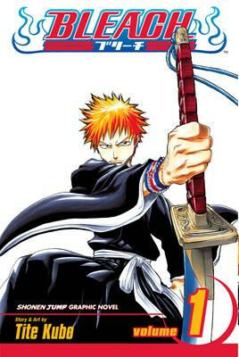 Bleach 1 (anglicky)