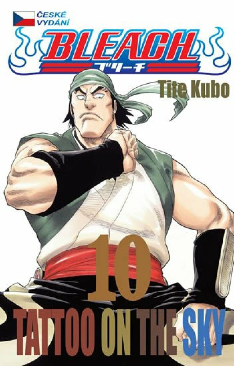 Bleach 10: Tattoo on the Sky - Tite Kubo