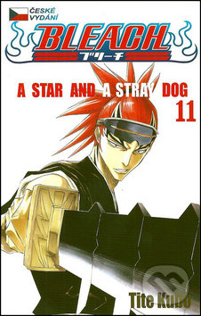 Bleach 11 (A Star and a Stray Dog)
