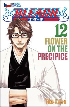 Bleach 12 (Flower on the Precipice)