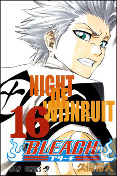 Bleach 16 (Night of Wijnruit)