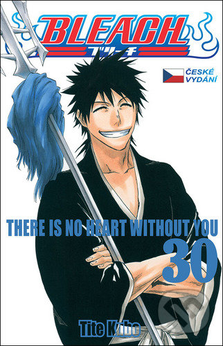 Bleach 30 (There Is No Heart Withnout You)