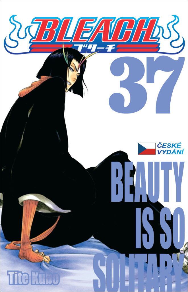 Bleach 37