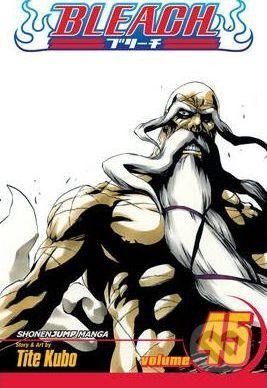 Bleach 45
