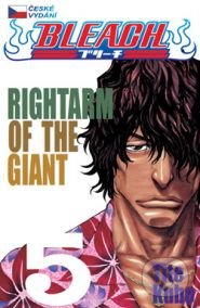 Bleach 5 (Rightarm of the Giant)