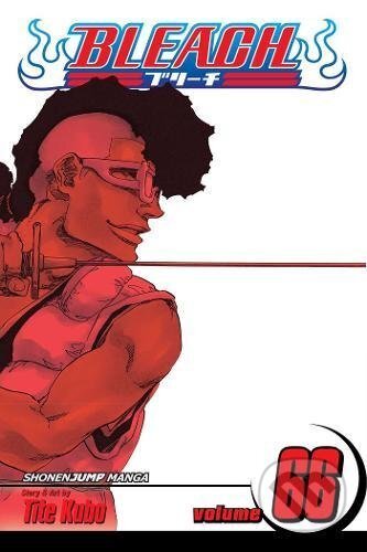 Bleach 66