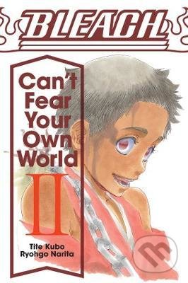Bleach: Can't Fear Your Own World (Vol. 2)