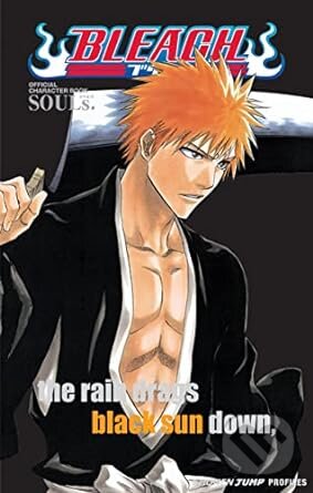 Bleach SOULs: Official Character Book