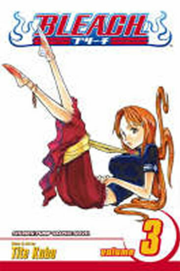 Bleach, Vol. 3