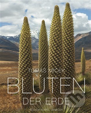 Blüten der Erde