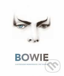 Bowie (Ilustrovaná monografie)