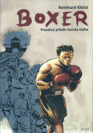 Boxer (Defekt)