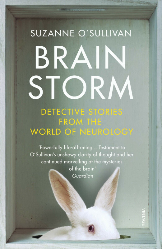 Brainstorm - Suzanne O'Sullivan