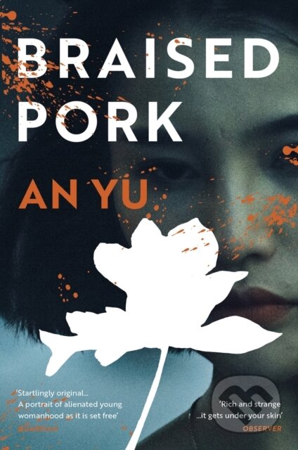 Braised Pork
