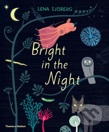 Bright in the Night